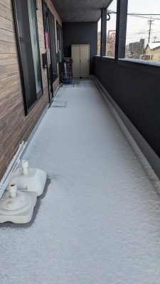 PXL_20240123_235234664.jpg